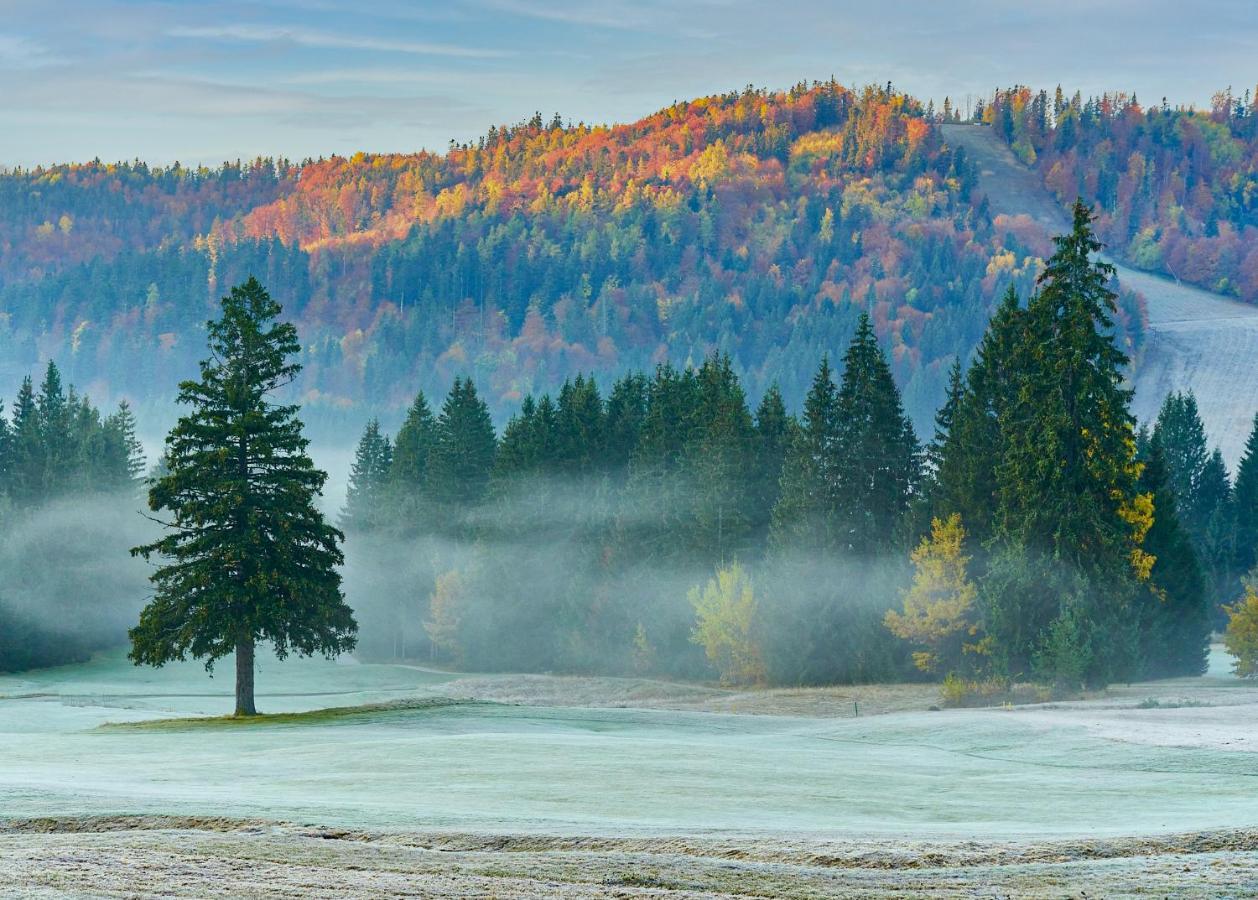 Dependence Hotela Stupka - Golf Tale Esterno foto